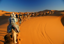 Agadir : Accès facile au Sahara