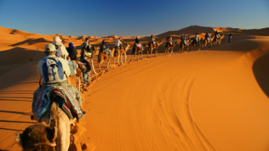 Agadir : Accès facile au Sahara
