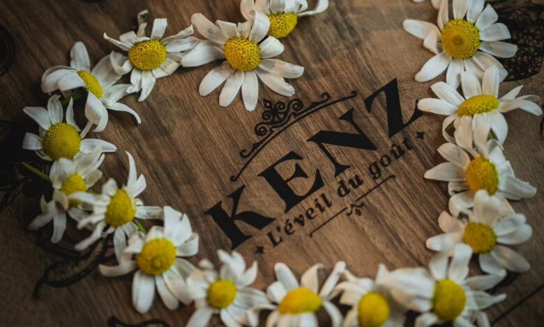 Kenz Terroir : Voyage Gourmand au Cœur des Saveurs Authentiques, Entre Tradition et Excellence