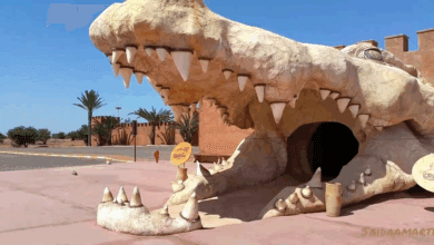 sorties enfants Agadir juillet