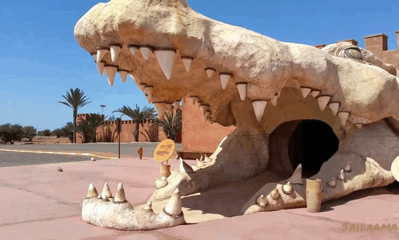 sorties enfants Agadir juillet